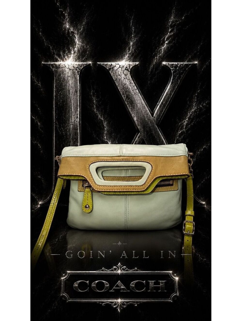 27. Coach 2008 Bonnie Foldover